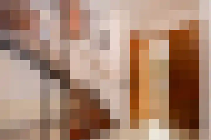 Vleugelmorgenstraat 27 Stein thumbnail 8