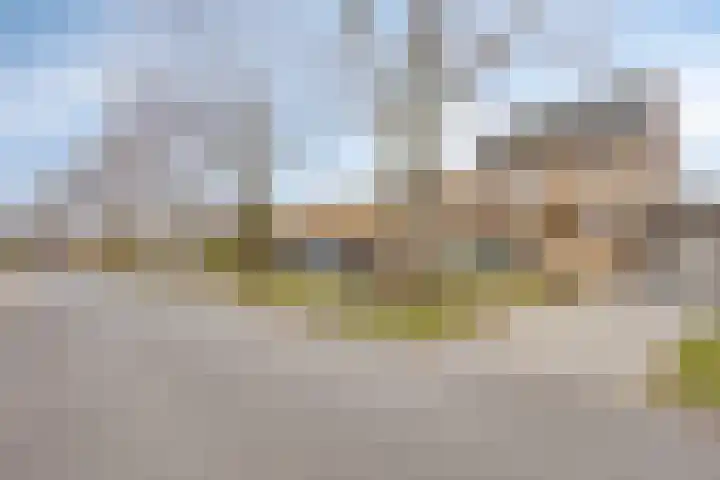 Vleugelmorgenstraat 36 Stein thumbnail 10