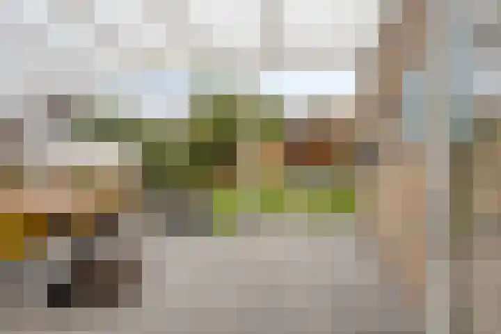 Vleugelmorgenstraat 36 Stein thumbnail 26