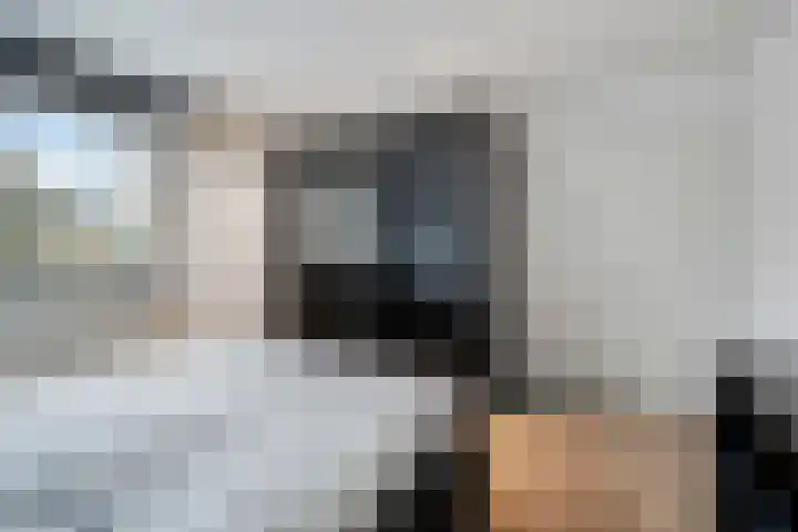 Vleugelmorgenstraat 36 Stein thumbnail 31