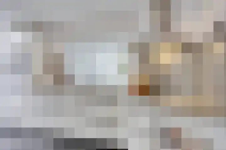 Vleugelmorgenstraat 36 Stein thumbnail 5