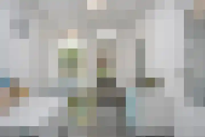 Vleugelmorgenstraat 36 Stein thumbnail 6