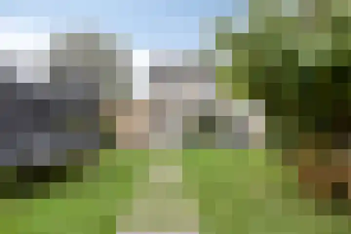 Vleugelmorgenstraat 36 Stein thumbnail 8