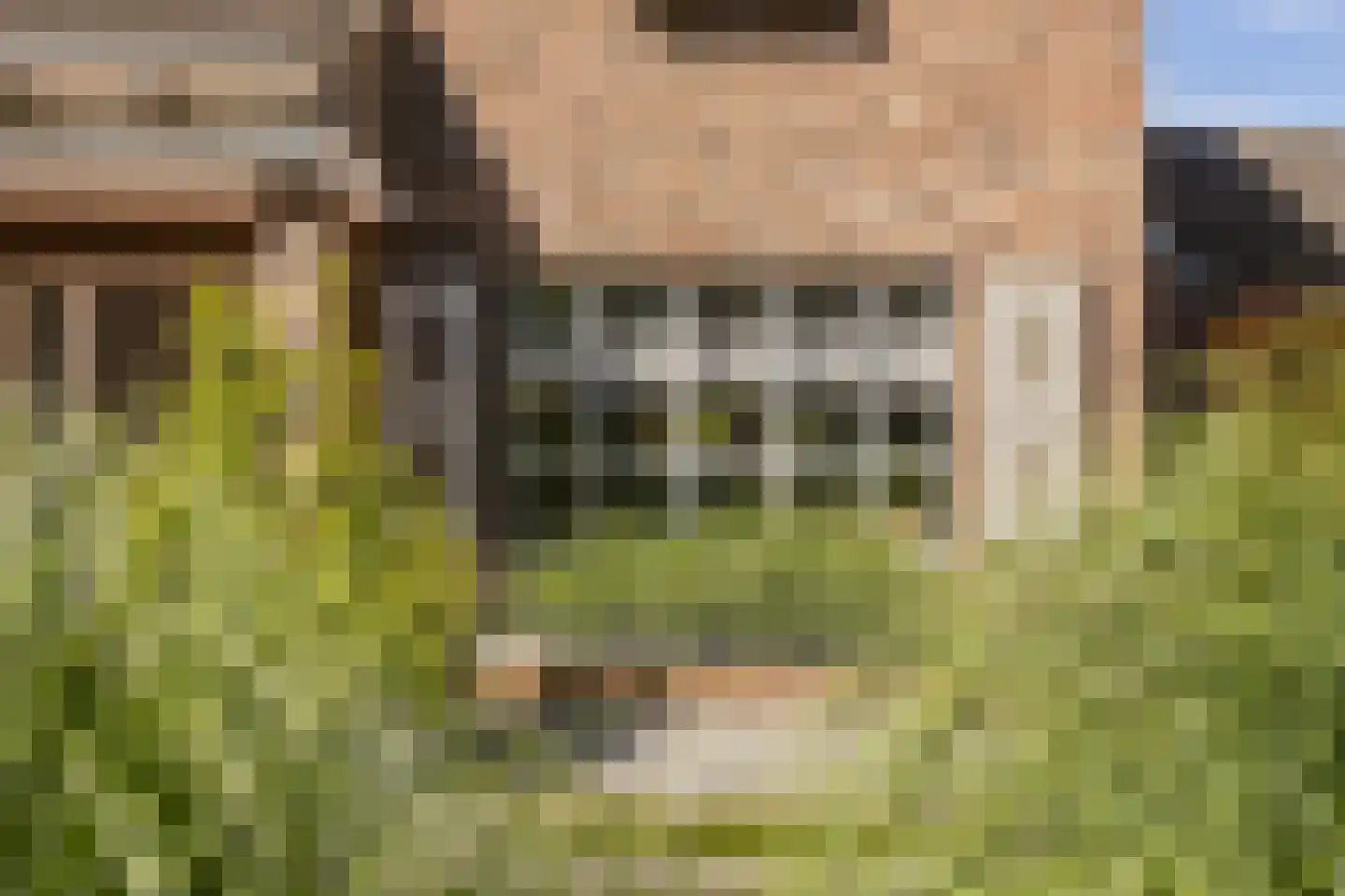 Vleugelmorgenstraat 37 Stein thumbnail 11