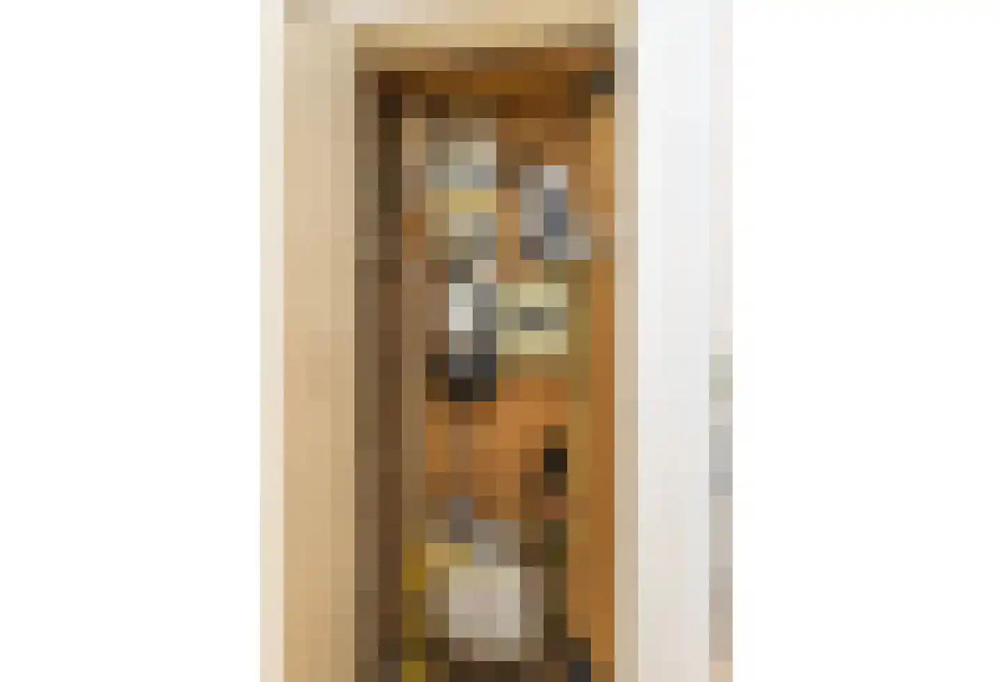 Vleugelmorgenstraat 37 Stein thumbnail 13