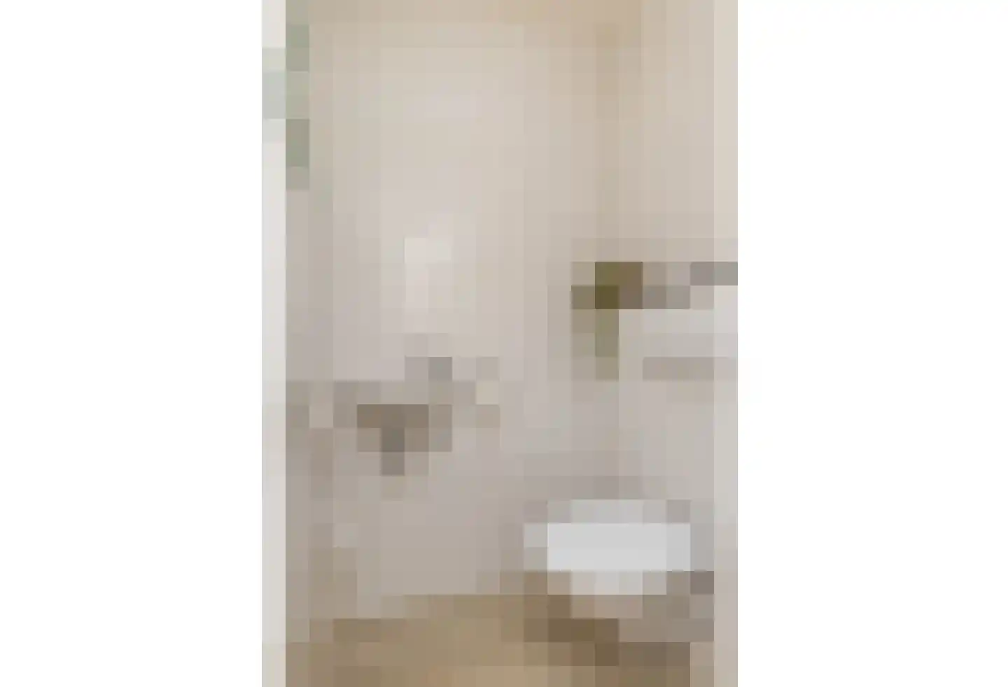 Vleugelmorgenstraat 37 Stein thumbnail 15