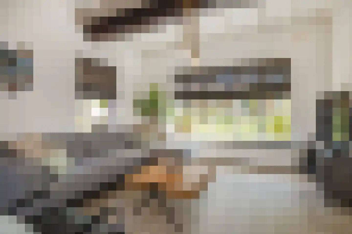 Vleugelmorgenstraat 37 Stein thumbnail 16