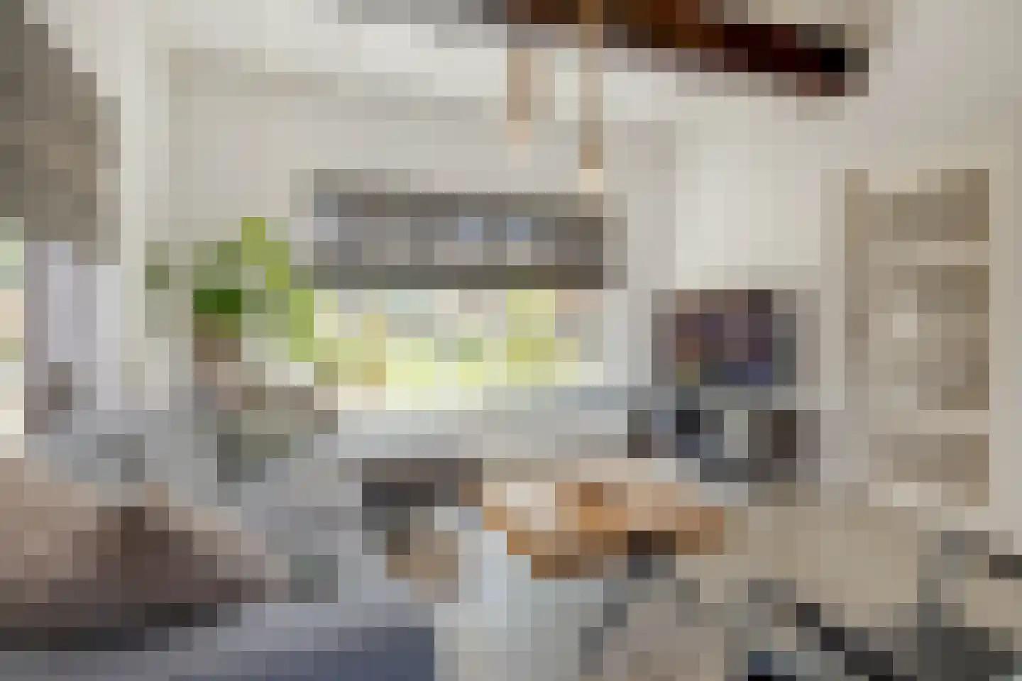 Vleugelmorgenstraat 37 Stein thumbnail 17