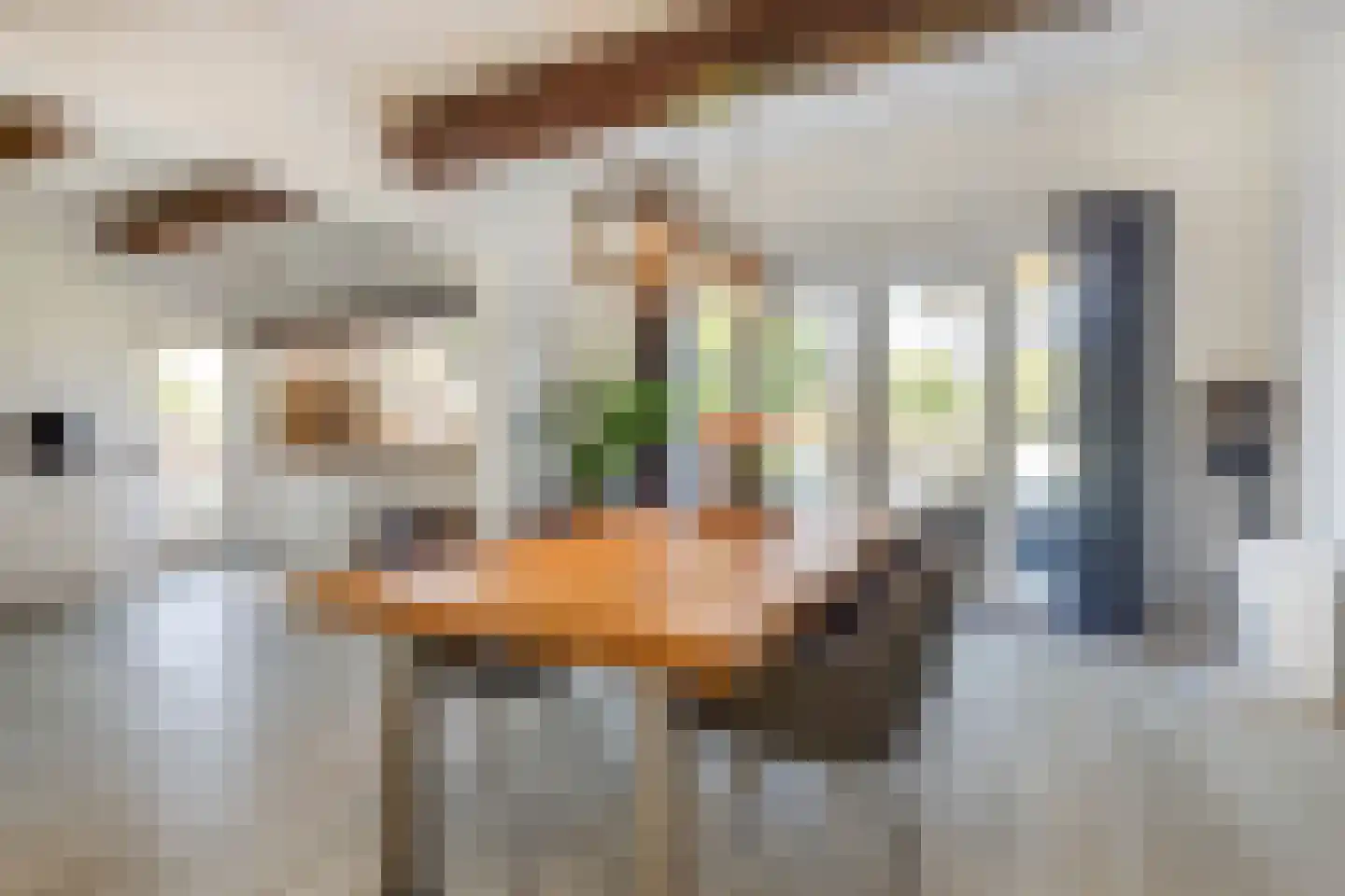 Vleugelmorgenstraat 37 Stein thumbnail 22