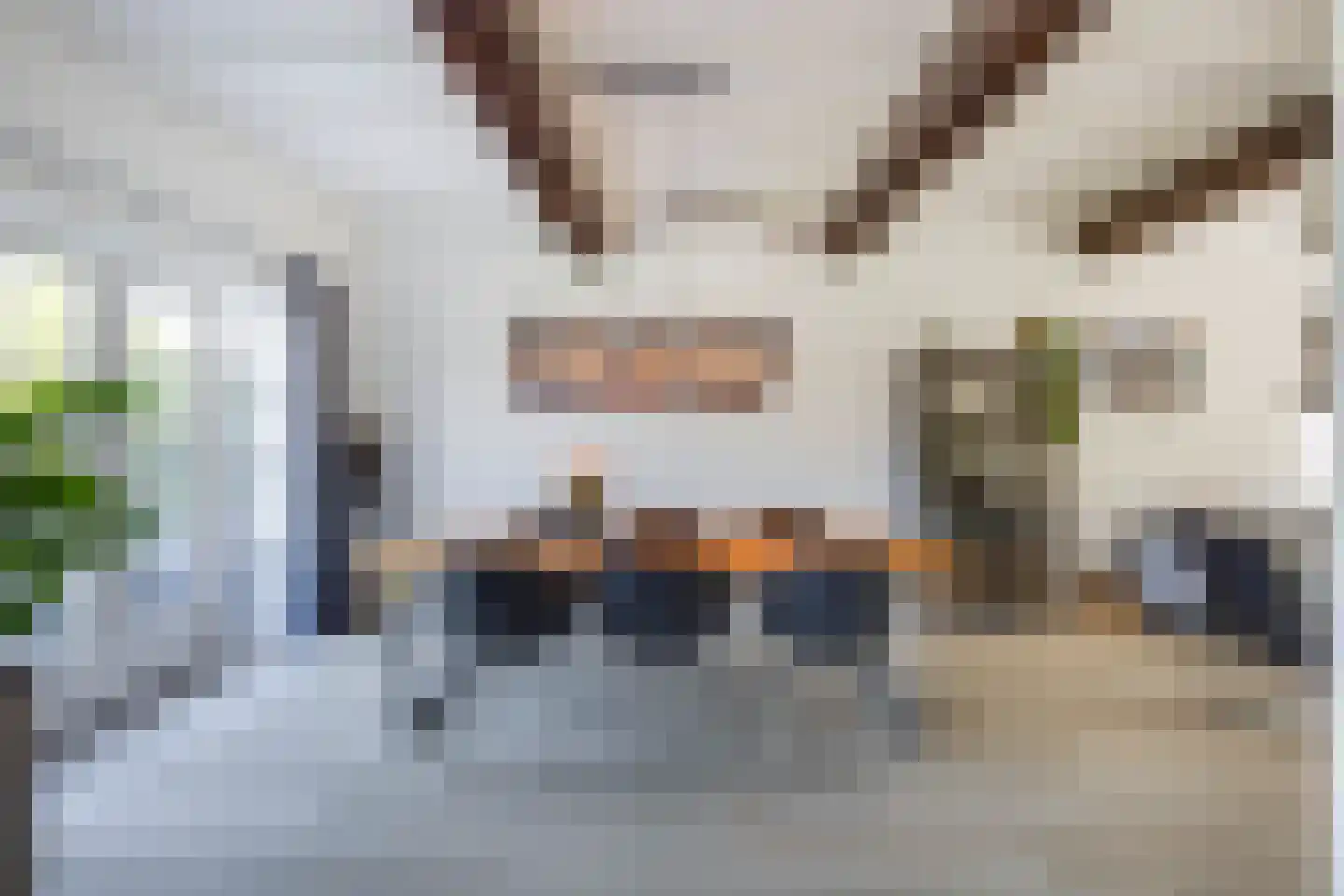 Vleugelmorgenstraat 37 Stein thumbnail 23