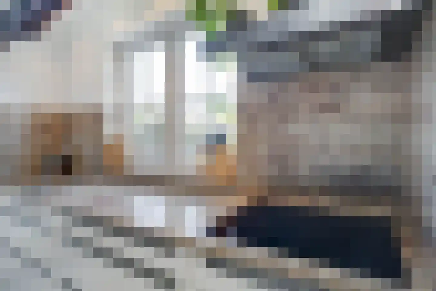 Vleugelmorgenstraat 37 Stein thumbnail 27