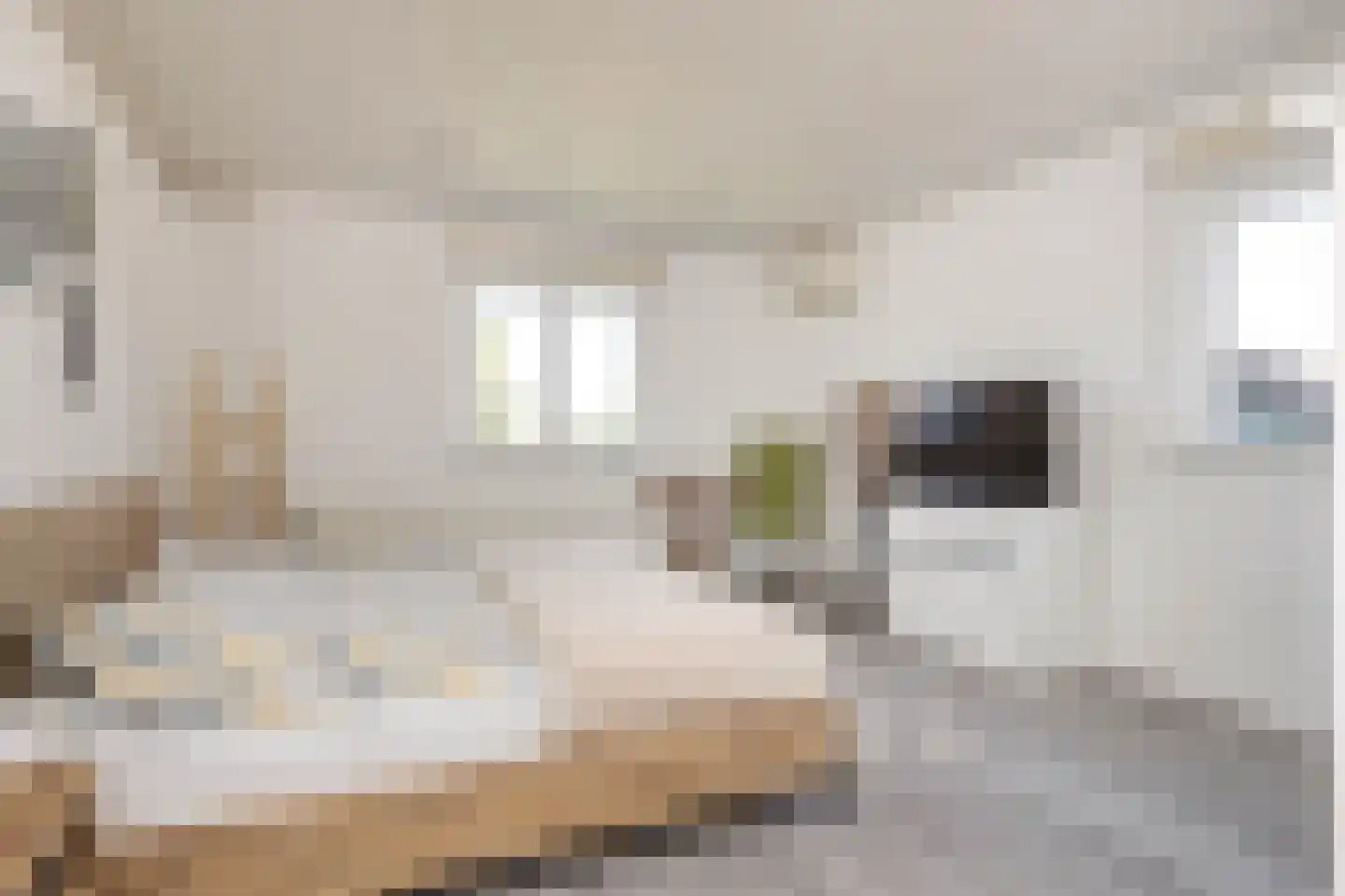 Vleugelmorgenstraat 37 Stein thumbnail 31