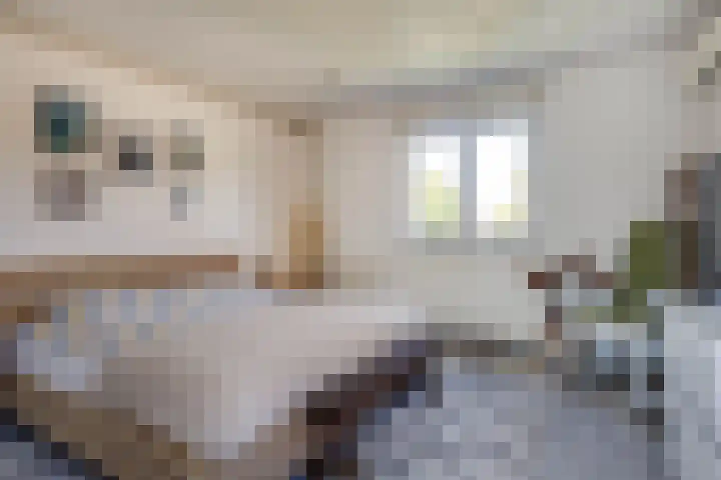 Vleugelmorgenstraat 37 Stein thumbnail 33