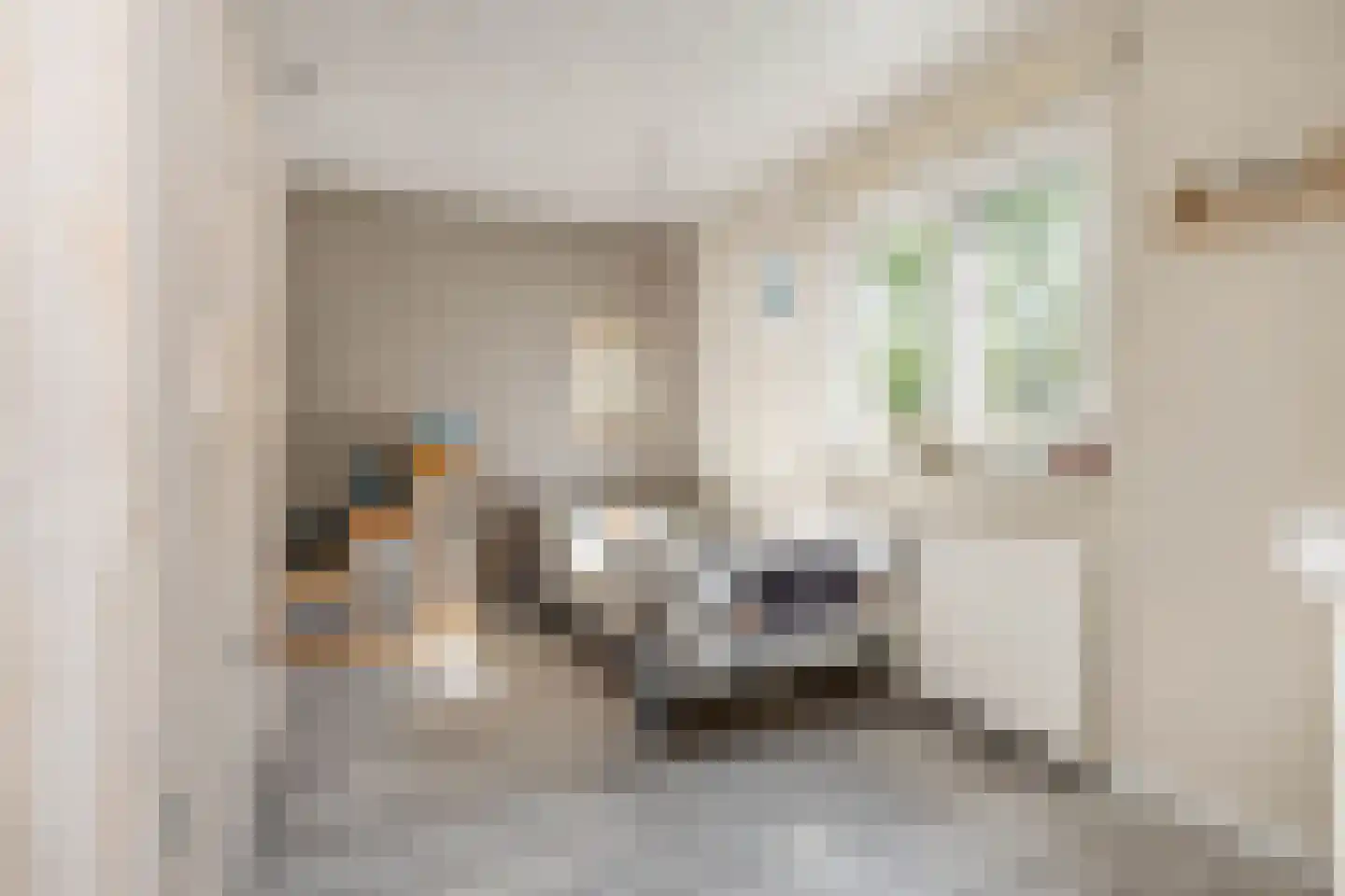 Vleugelmorgenstraat 37 Stein thumbnail 35