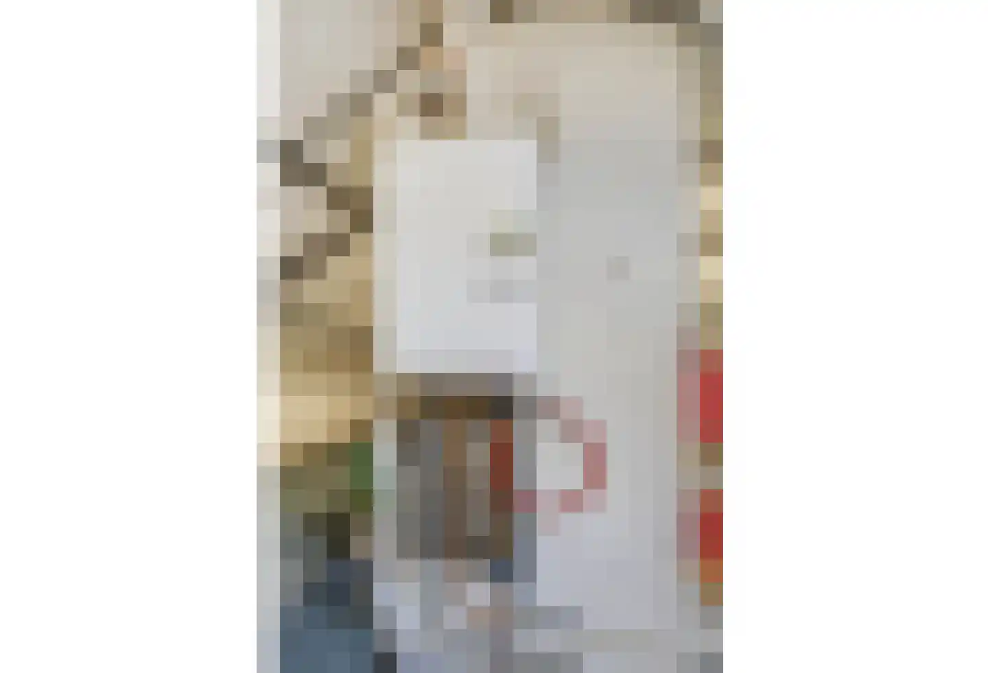 Vleugelmorgenstraat 37 Stein thumbnail 45