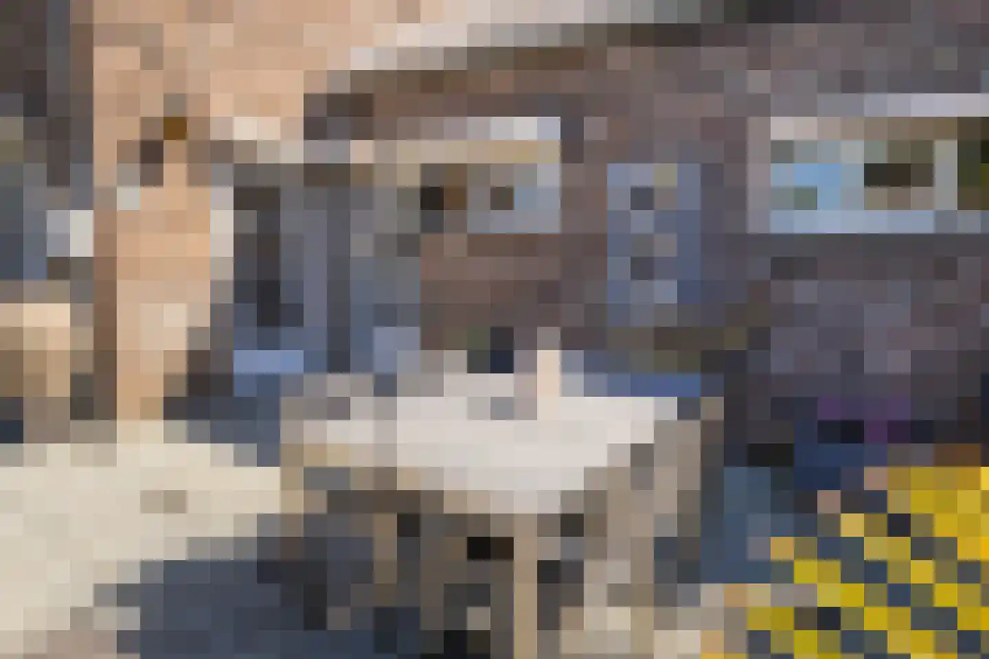 Vleugelmorgenstraat 37 Stein thumbnail 54