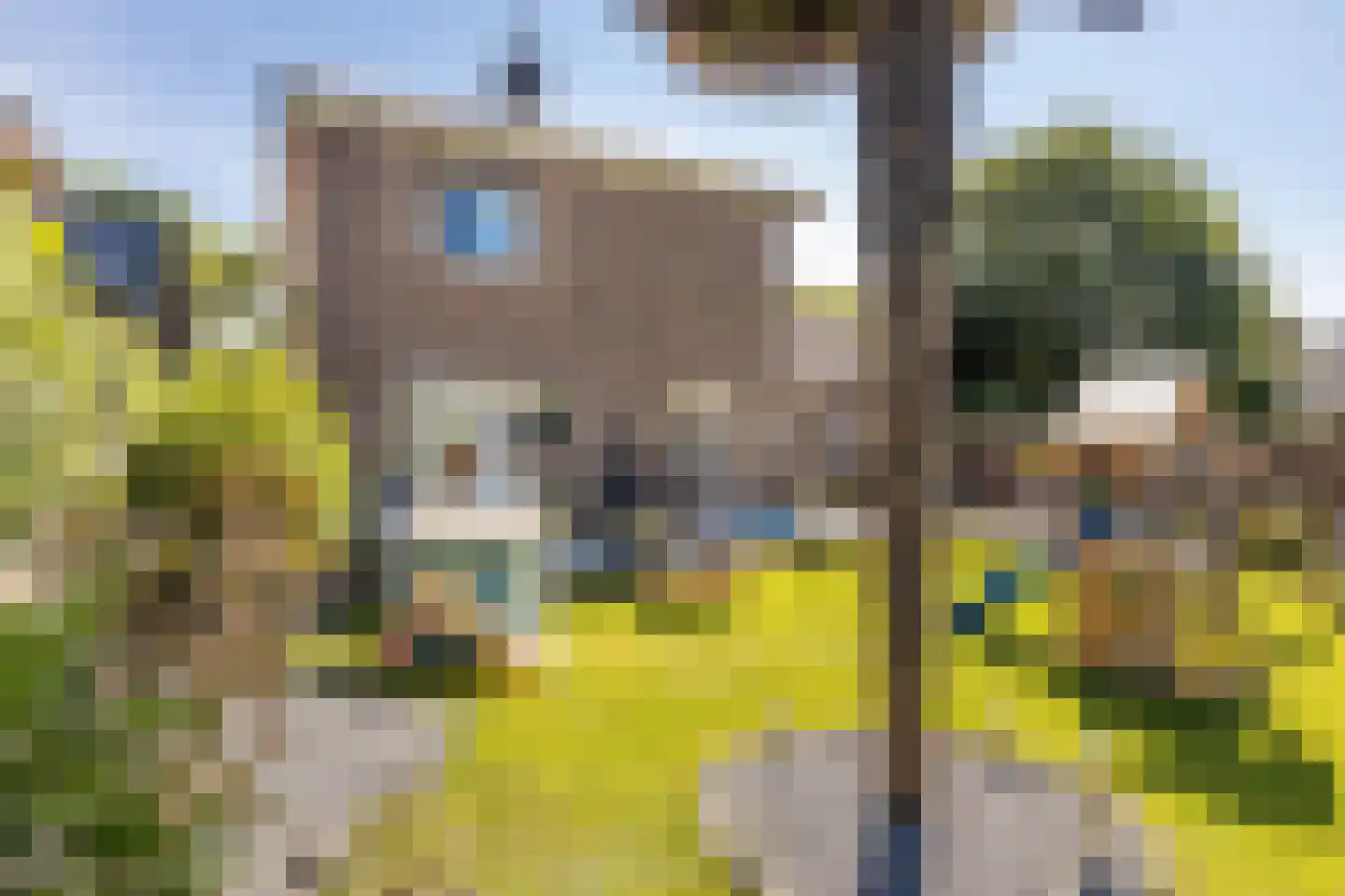 Vleugelmorgenstraat 37 Stein thumbnail 57