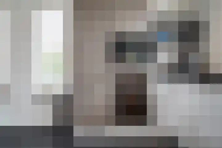Vleugelnootlaan 28 Zoeterwoude thumbnail 10
