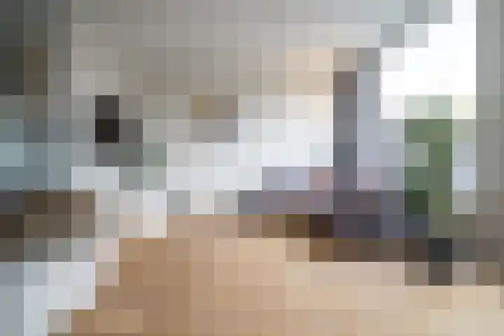 Vleugelnootlaan 28 Zoeterwoude thumbnail 15