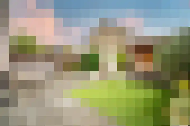 Vleugelnootlaan 28 Zoeterwoude thumbnail 20