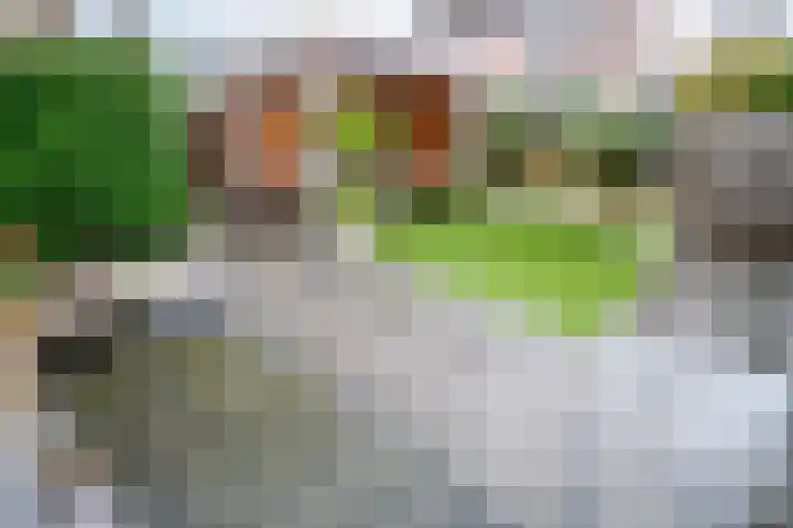 Vleugelnootlaan 28 Zoeterwoude thumbnail 22