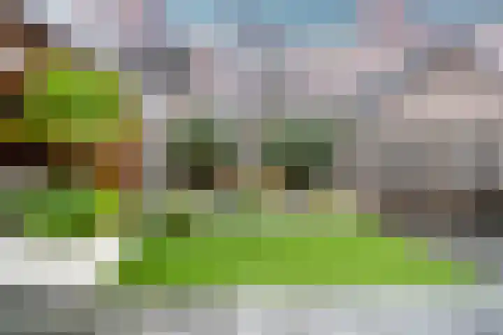 Vleugelnootlaan 28 Zoeterwoude thumbnail 23