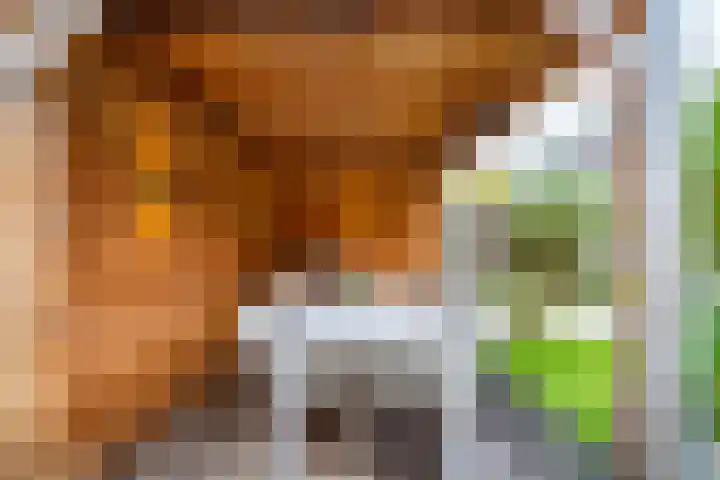 Vleugelnootlaan 28 Zoeterwoude thumbnail 24