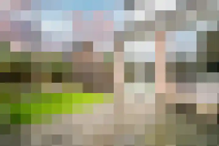 Vleugelnootlaan 28 Zoeterwoude thumbnail 26