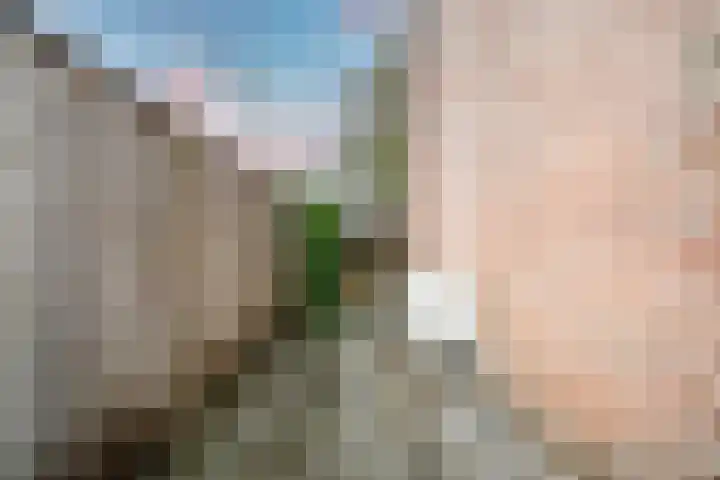 Vleugelnootlaan 28 Zoeterwoude thumbnail 28