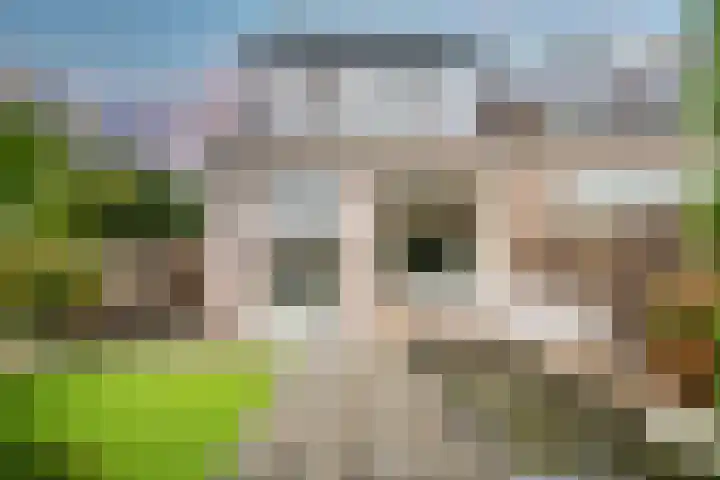 Vleugelnootlaan 28 Zoeterwoude thumbnail 29