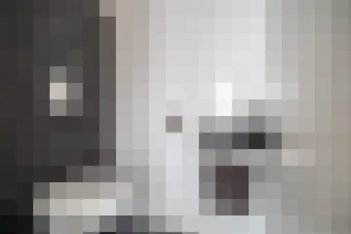 Vleugelnootlaan 28 Zoeterwoude thumbnail 38