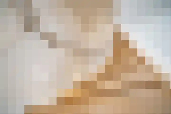 Vleugelnootlaan 28 Zoeterwoude thumbnail 39