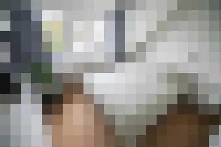Vleugelnootlaan 28 Zoeterwoude thumbnail 45