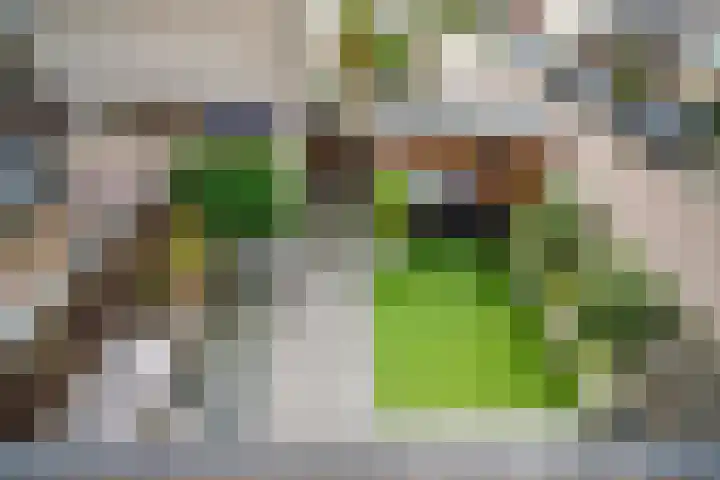 Vleugelnootlaan 28 Zoeterwoude thumbnail 46