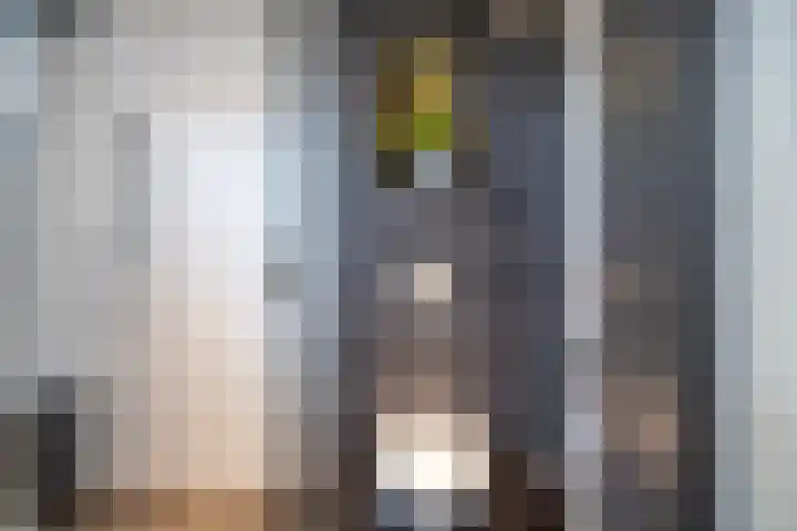 Vleugelnootlaan 28 Zoeterwoude thumbnail 49