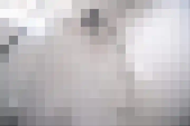 Vleugelnootlaan 28 Zoeterwoude thumbnail 51