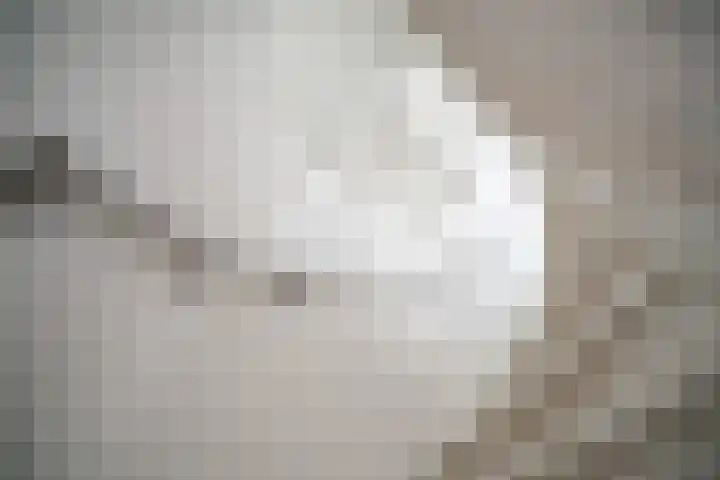 Vleugelnootlaan 28 Zoeterwoude thumbnail 55