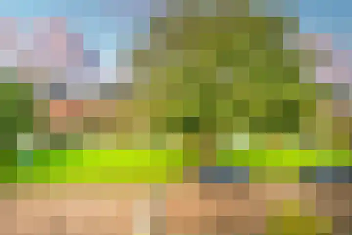 Vleugelnootlaan 28 Zoeterwoude thumbnail 57