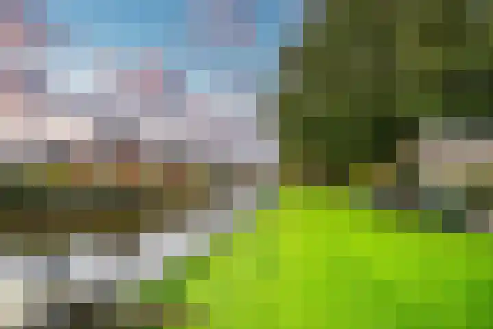 Vleugelnootlaan 28 Zoeterwoude thumbnail 67