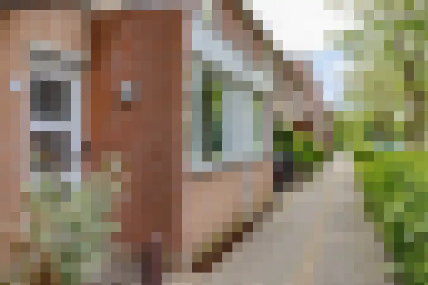 Vleugelnootsingel 30 Almere thumbnail 4
