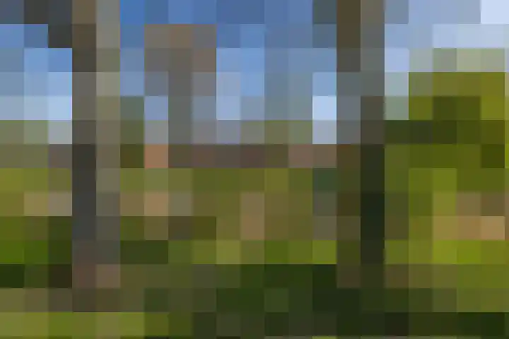 Vleugelnootsingel 52 Almere foto 2