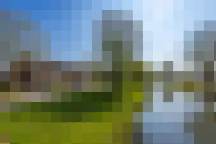 Vleugelnootsingel 52 Almere thumbnail 31