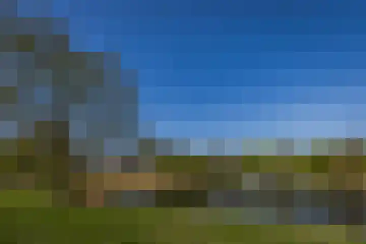 Vleugelnootsingel 52 Almere thumbnail 34