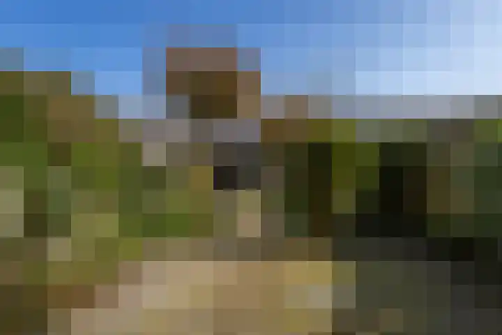 Vleugelnootsingel 52 Almere thumbnail 4