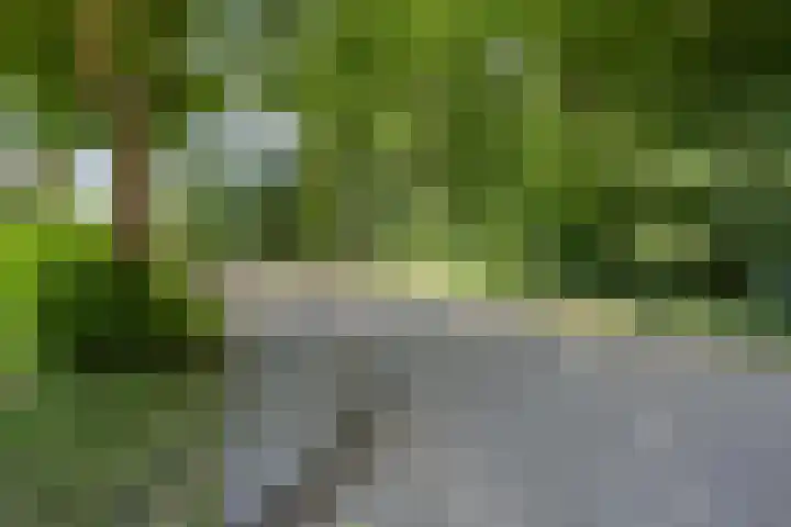 Vleugelnootstraat 5 Arnhem thumbnail 30