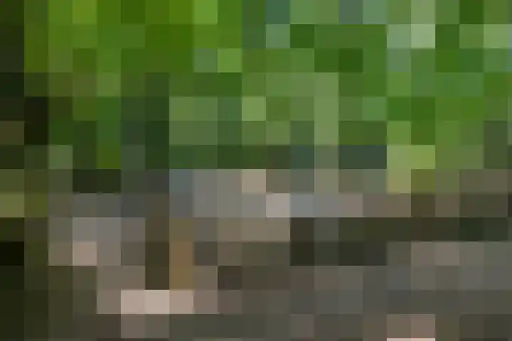 Vleugelnootstraat 5 Arnhem thumbnail 31