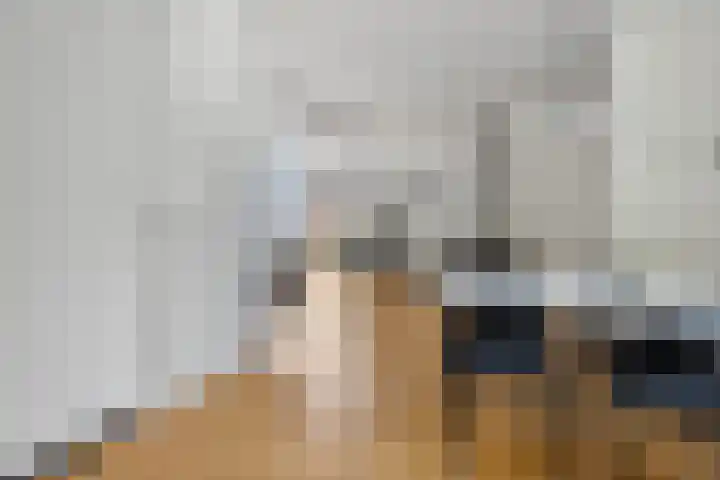 Vleugelnootstraat 5 Arnhem thumbnail 5