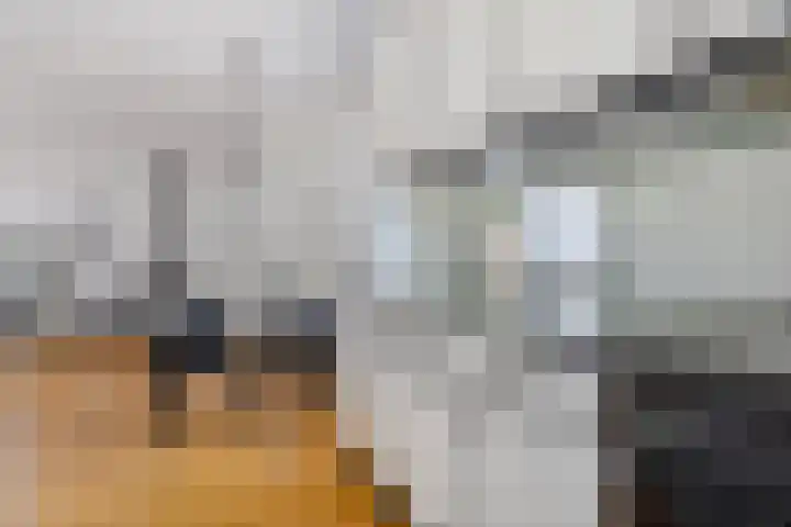 Vleugelnootstraat 5 Arnhem thumbnail 9