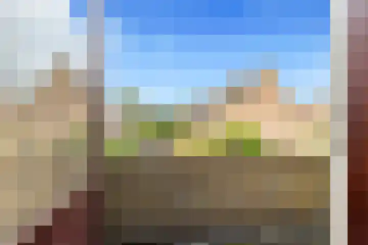 Vleugeltjesbloem 16 Castricum thumbnail 28