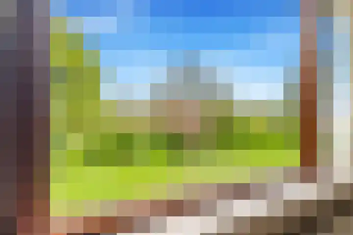 Vleugeltjesbloem 16 Castricum thumbnail 31